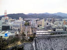 201101231.jpg