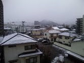 201102111.jpg